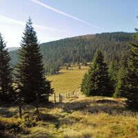 Blick auf den Wildbachsattel