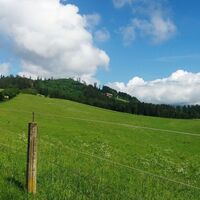Ausblick beim Reinthalerhof