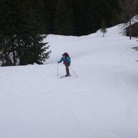 Kragelschinken/Plöschkogel