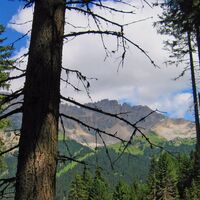 Im Wald, Blick zur Latemar