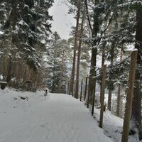 Spaziergang durch den Naturpark