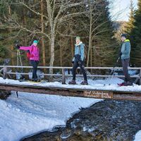 Brücke über den Mixnitzbach_Naturpark Almenland_Oststeiermark