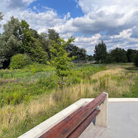 Auenpark (4)