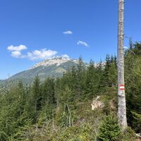 Hier bereits kurz vorm Sitzbichl (Rückblick)