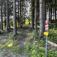 .. vertschüsst sich der Berichterstatter in die entgegengesetzte Richtung