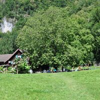Die Lichtung Höfli mit Restaurant