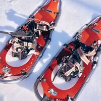Schneeschuhwandern