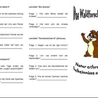 Waldforscher-Quiz