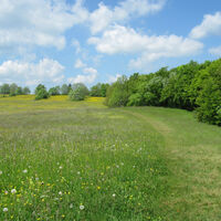 Frühling im Naturschutzgebiet