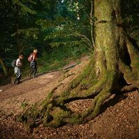 Wandern am Waldrastplatz Brombach