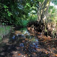 Kilverbach im Naturschutzgebiet