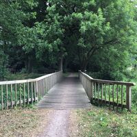 Brücke über Ollenbäke
