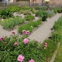 Kräutergarten in Hirsau