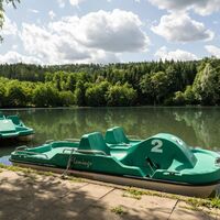 Fornsbacher Waldsee Tretbootverleih