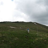 Meßnerin