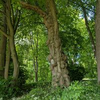 1Wanderwege_Natur_Hamburger Hütte 