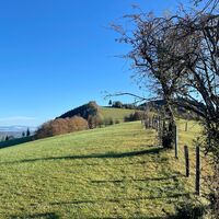 Freithofberg-Trail - Maria Neustift