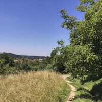 Wanderweg bei Güttingen