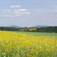 Weg nach Schwickershausen