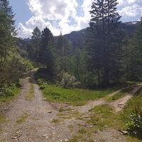 Die Abzweigung (nach rechts) zum Landauersee