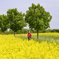Radeln im Osnabrücker Land