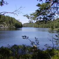 Orrainpolku Weg