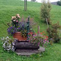 Hier ist alles mit Blumen geschmückt