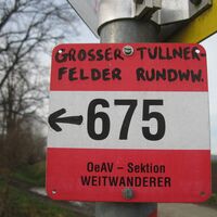 Fels - Absdorf