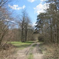 Nationalpark Donauauen