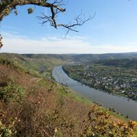 Aussichtspunkt Zeltinger Berg: Wehlen mit Hängebrücke, Graach und im Hintergrund Bernkastel-Kues
