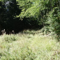 am Weg zum Sagmüller Bankerl