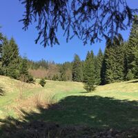 Rundwanderweg "Moosburg / Moosbachtal" Steinbach-Hallenberg - Thüringer Wald
