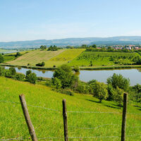 Bifang-Weiher, Salem-Mimmenhausen