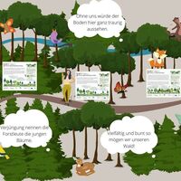 Klimafitter Wald