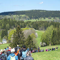 Bublava