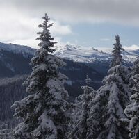 Blick zum "Geierkogel"