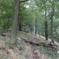 steil am Jägersteig hoch