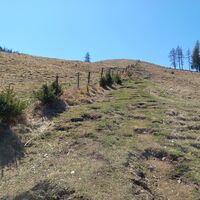 Zum Tyrnauer Alm