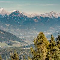 baumhoroskopweg - familienwanderung_img_58021500