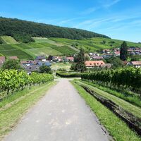 Ausblick auf Pleisweiler am Anstieg zum Liebfrauenberg