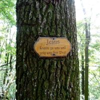 Schild