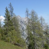 stoderzinken 2.048m, ausgangspunkt gröbming_img_14620243