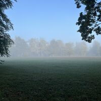 .. Tip: In der Früh die Runde gehen; ab 7 ist der Schlosspark offen!