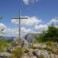 rund ums Gipfelkreuz gibts unzählige Walderdbeeren zu naschen