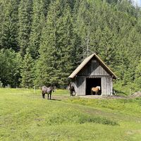 Weg durch die Pferdekoppel