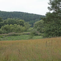 Unberührte Auenwiese