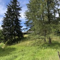 Gasthaus Wolfschwang