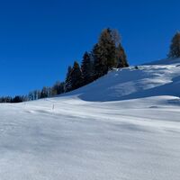 Tiefschnee Nahe Höslalmen Schneeschuhtour Hösljoch
