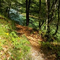 Kräuterhalsrunde Wildalpen