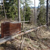 am Kamm vor der Hirschwand